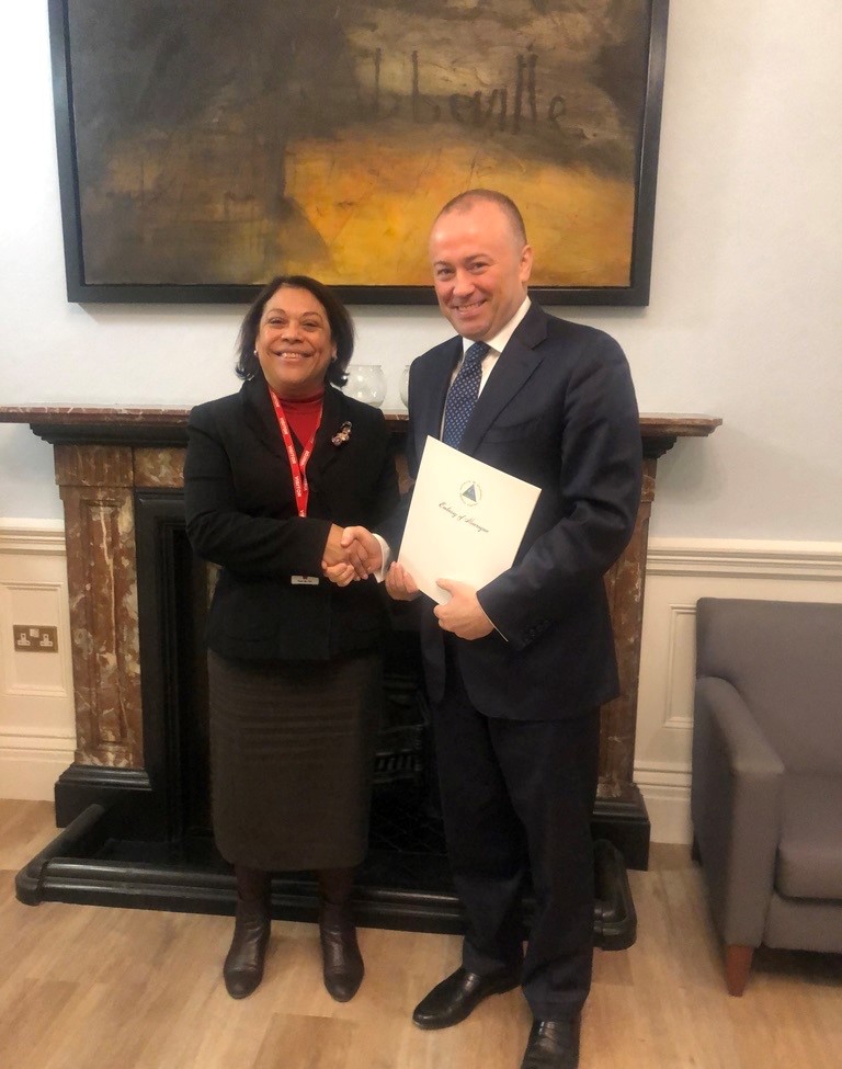 embajada irlanda1